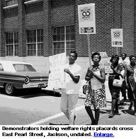 Welfare demonstration