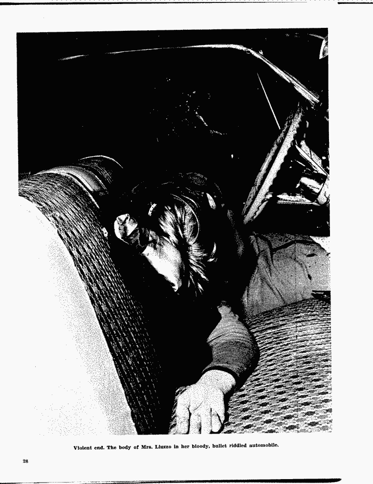 SCR ID # 1-85-0-105-30-1-1