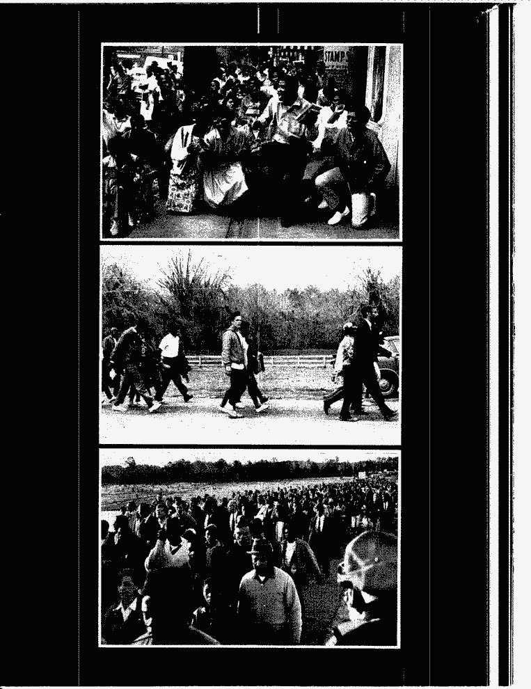 SCR ID # 3-14A-3-27-36-1-1