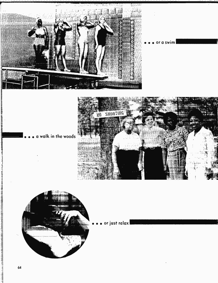 SCR ID # 2-126-1-13-66-1-1