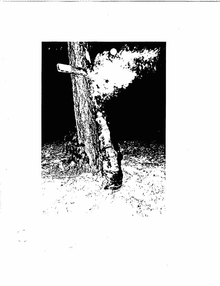 SCR ID # 2-128-0-32-5-1-1
