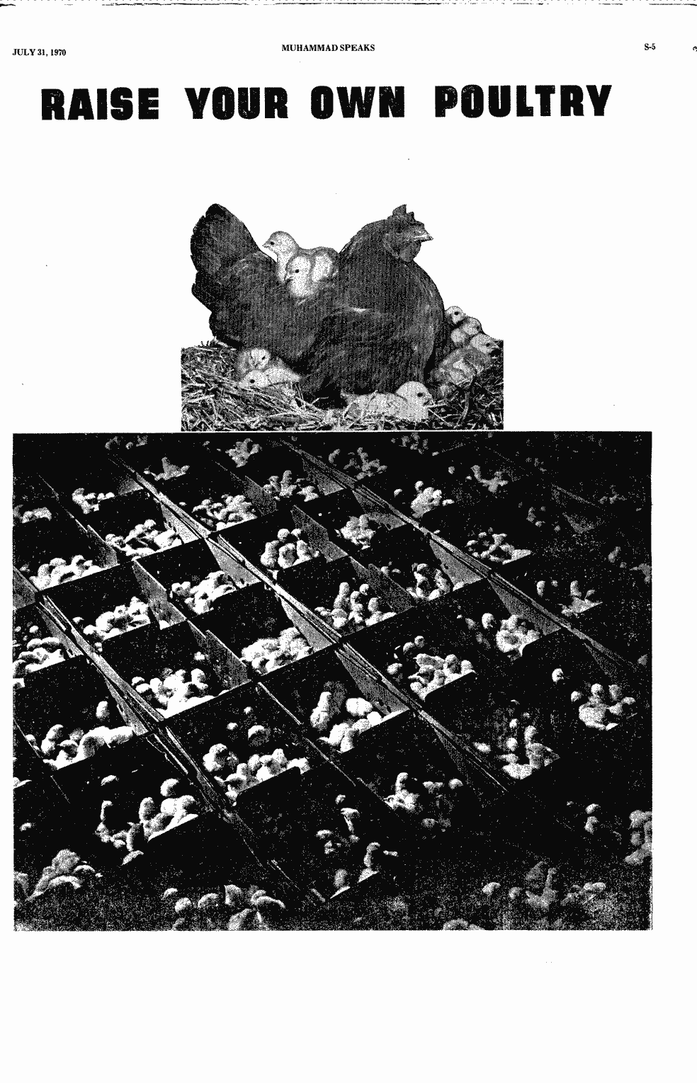 SCR ID # 2-139-0-34-5-1-1