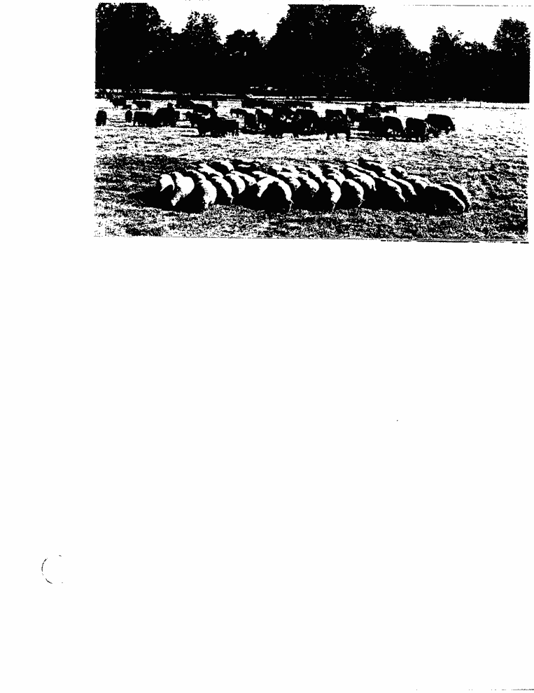 SCR ID # 6-39-0-56-9-1-1