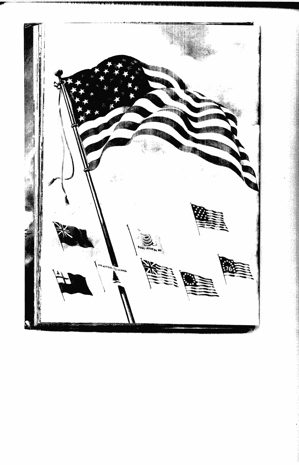SCR ID # 9-29-1-1-44-1-1