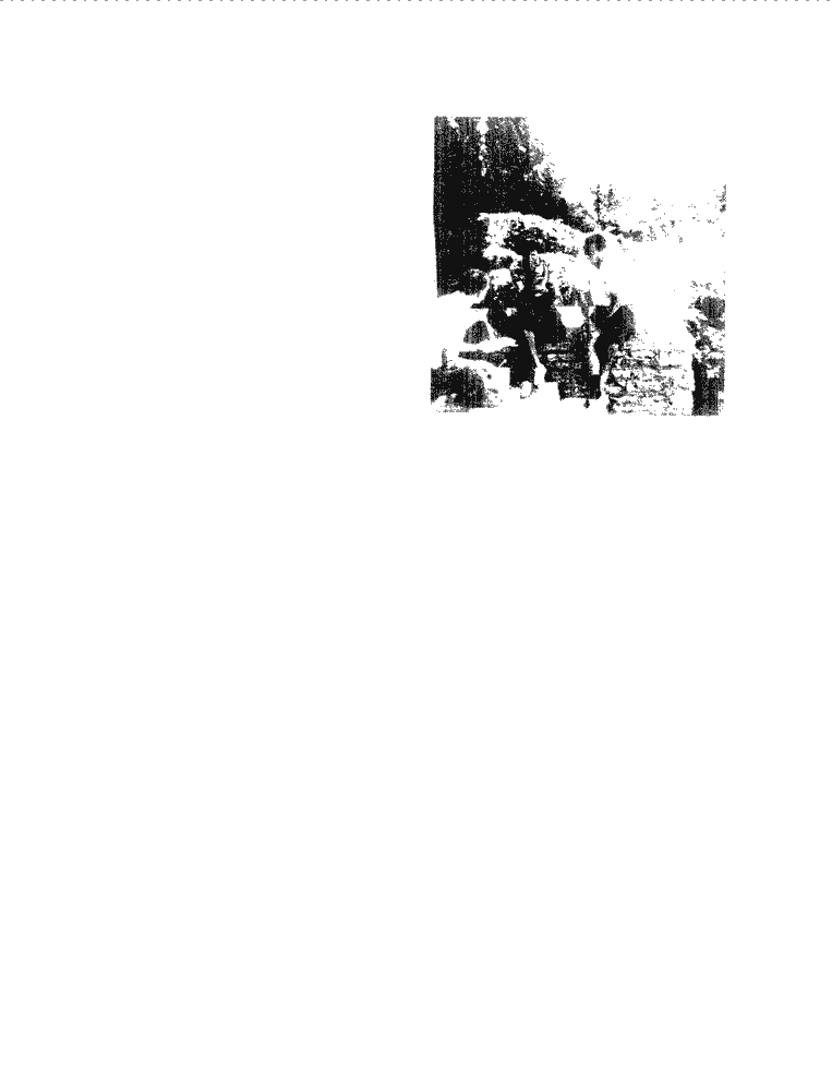 SCR ID # 9-31-2-10-10-1-2