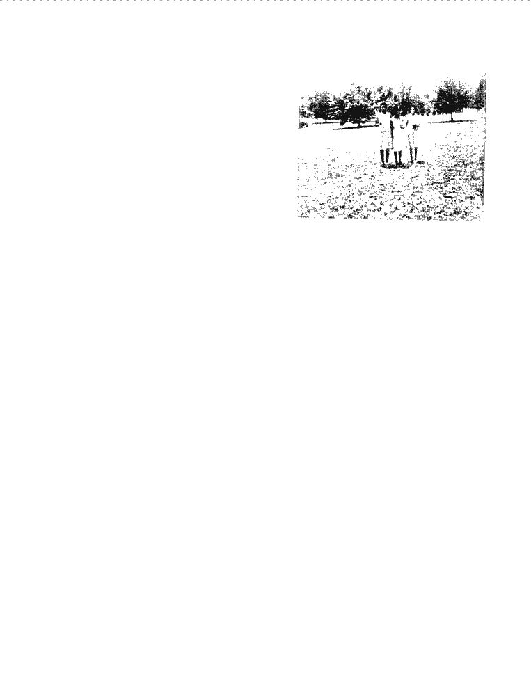 SCR ID # 9-31-2-10-17-1-2