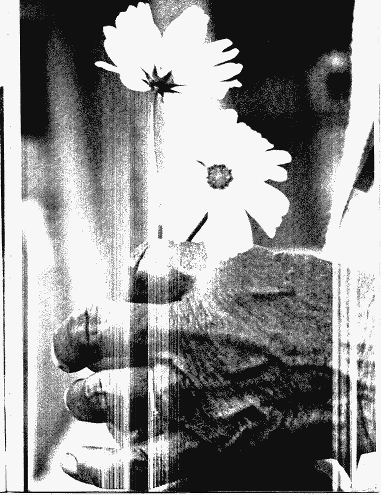 SCR ID # 10-60-0-30-51-1-1