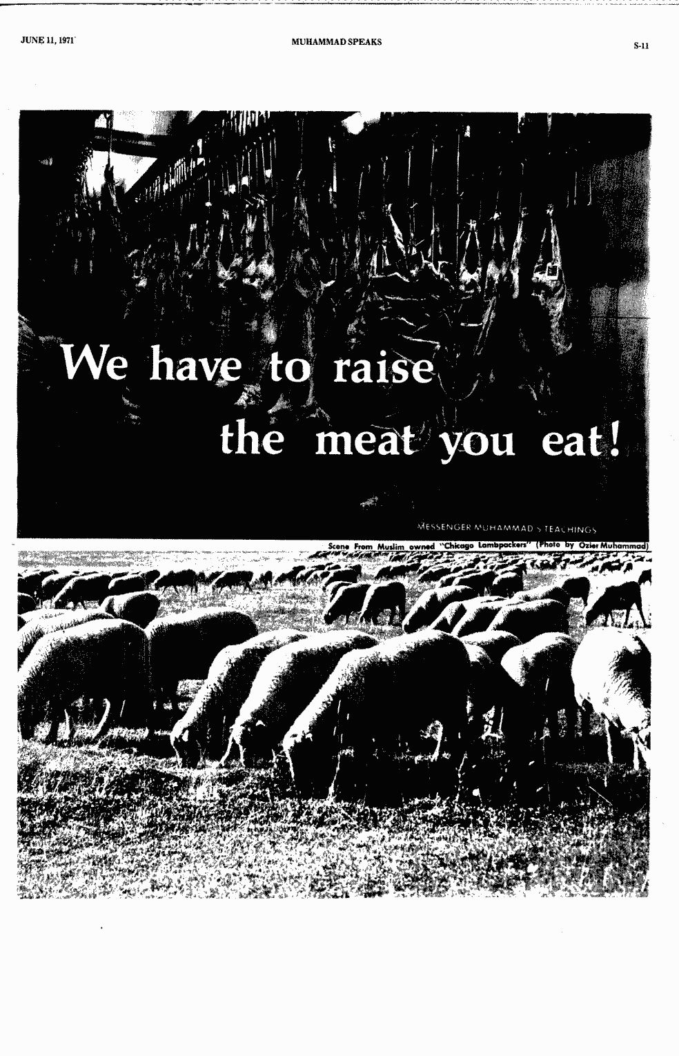 SCR ID # 99-183-0-2-11-1-1